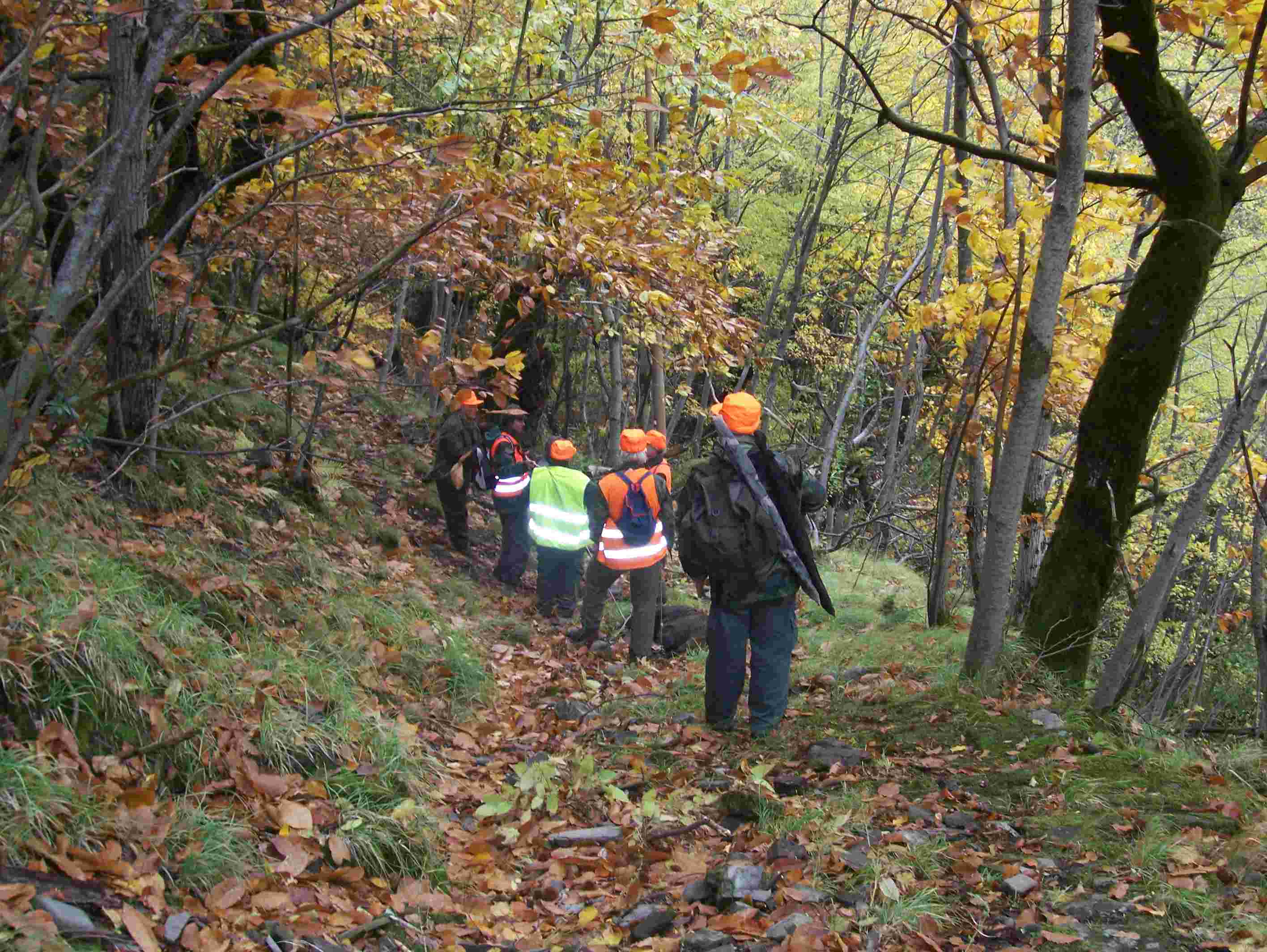  Image name: 27 Caccia.JPG 
 width: 2832 pixel 
 height: 2128 pixel 
 Size: 286872 bytes 
 Click to enlarge 